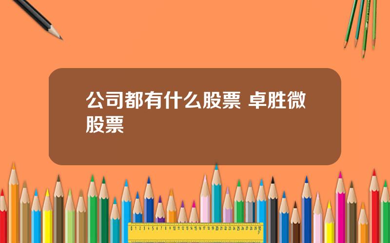 公司都有什么股票 卓胜微股票